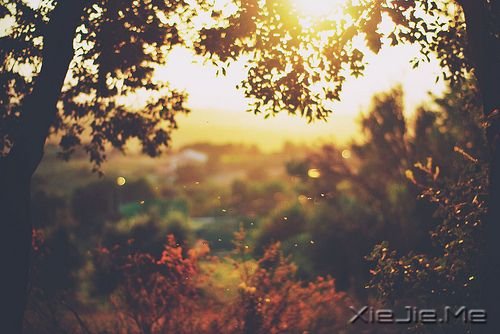 早安心语:做单纯的人,走幸福的路 (4)