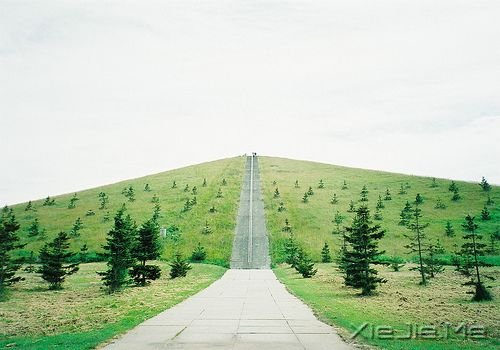 早安心语:照顾每个人的感受,注定自己不会好受 (7)