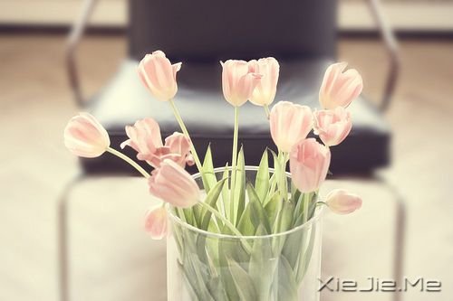 小清新图片 (4)