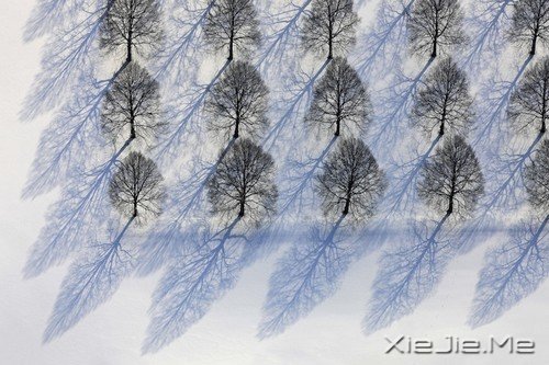 xcn9I xcn9I