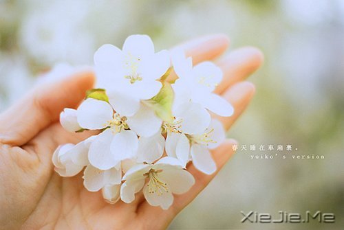 学会适时放弃