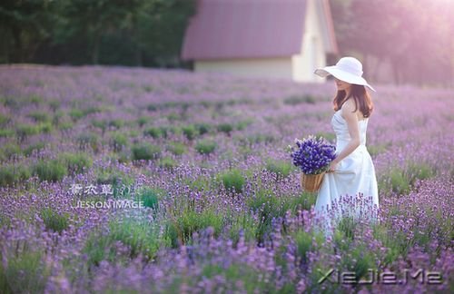 因为是女子,所以懂得 (2)