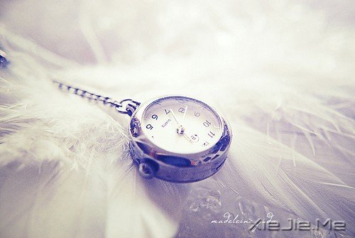 kN7lM kN7lM