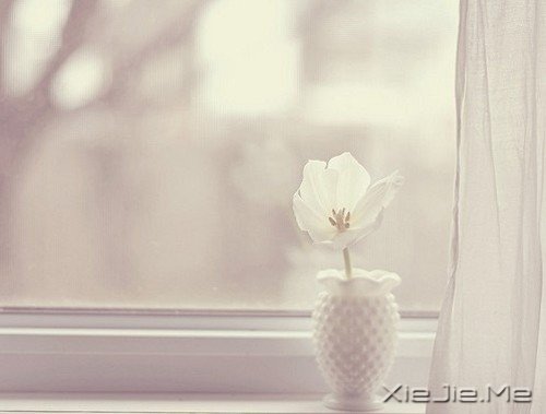 XYeV XYeV